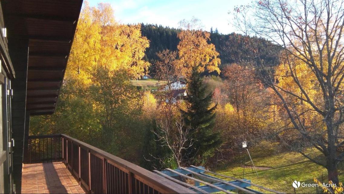 Chalet Les Chardons Gérardmer Екстериор снимка